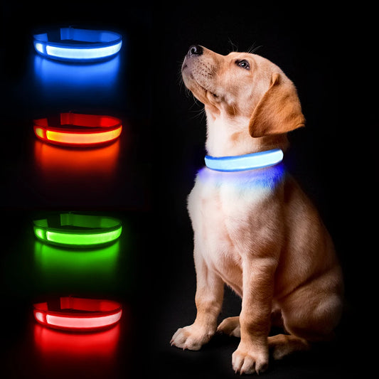Dog Collar Luminous Waterproof Safety Collars dropship