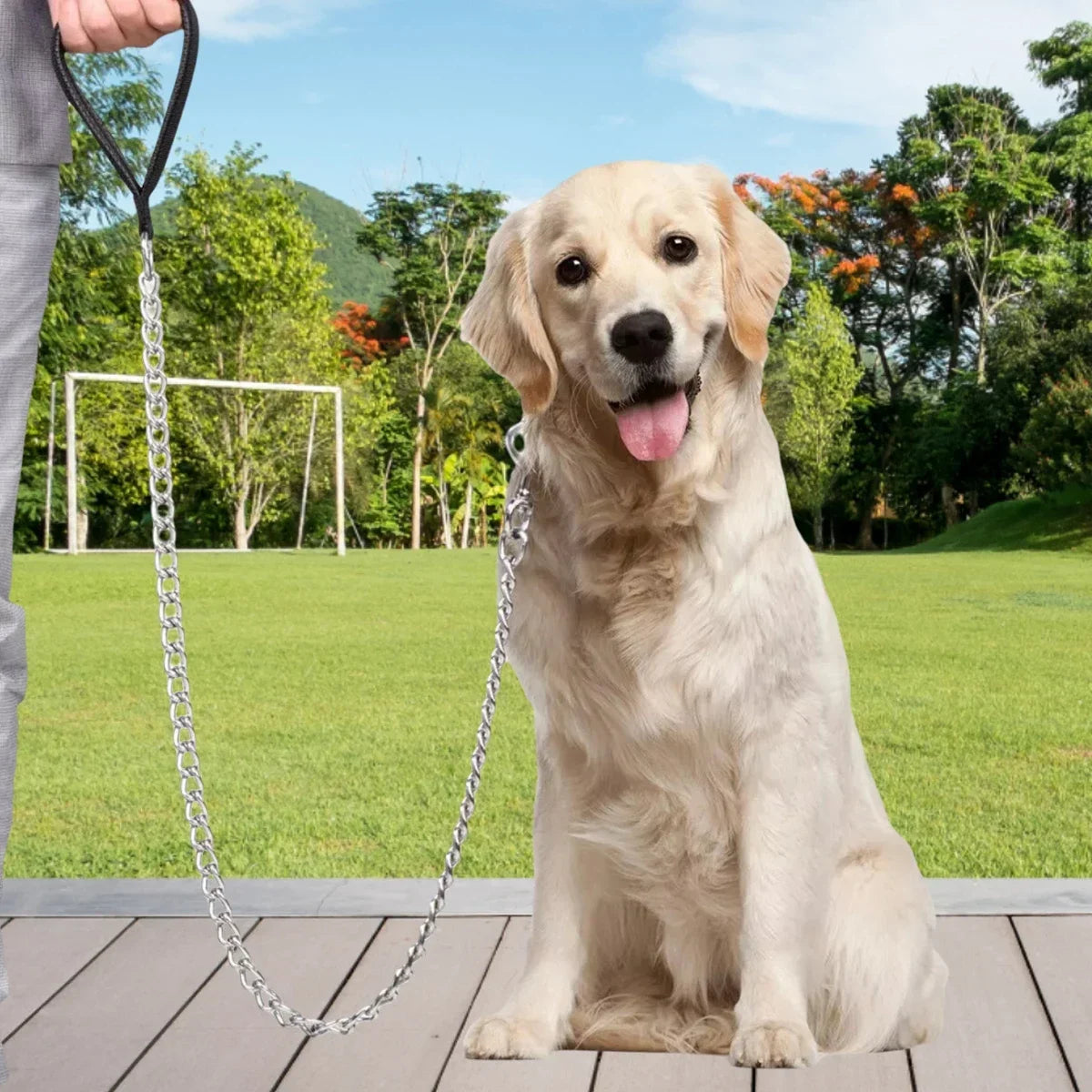 1Pcs Metal Chain Dog With Leather Handle