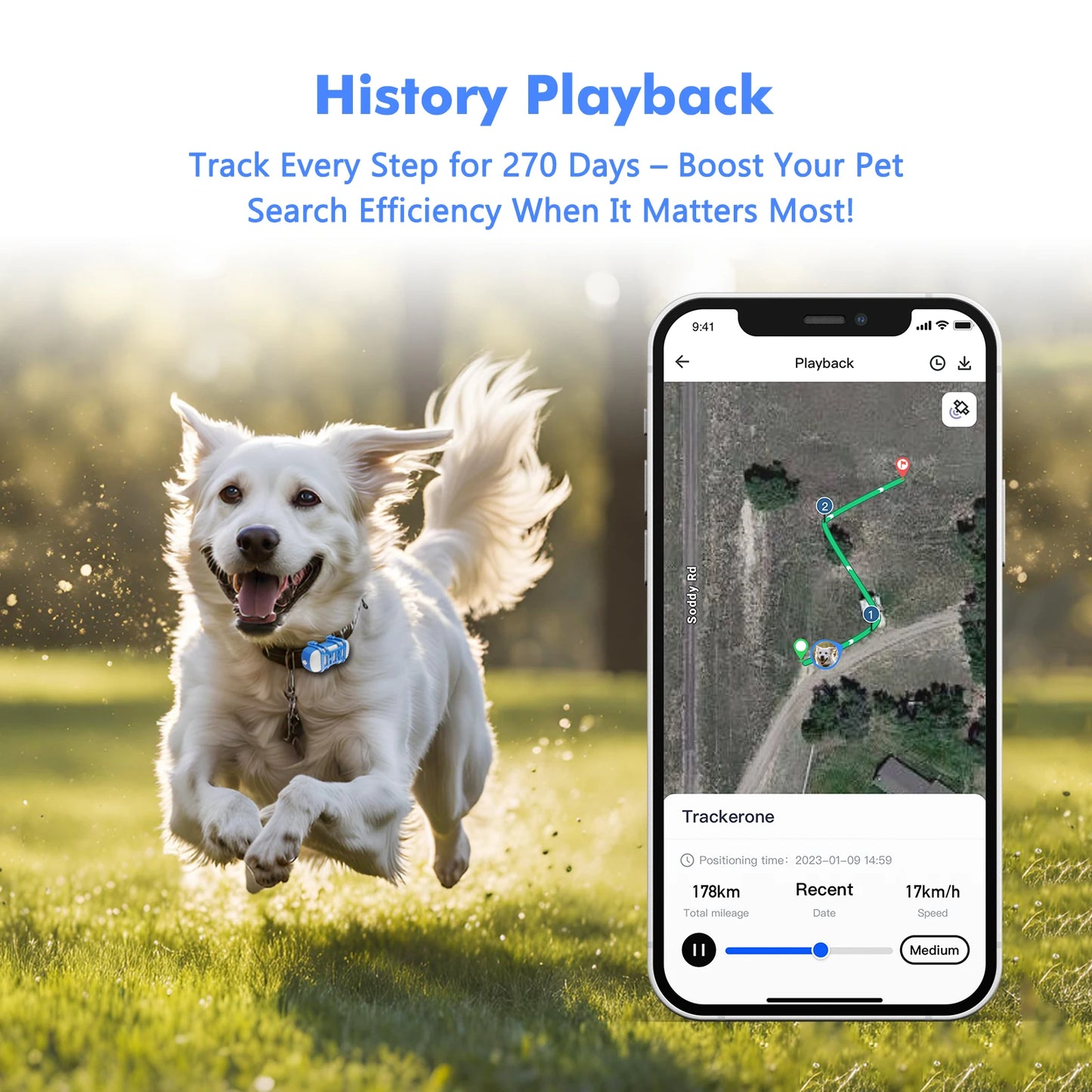 4G Mini GPS Tracker for Dot Cat – Waterproof Live Locator with Android & iOS App, Light & Sound Search, Subscription Needed