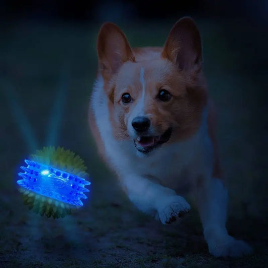 LED Light Up Squeaky Ball Dog Toy with Dental Spikes Soft Interactive Night Play Fetch Game