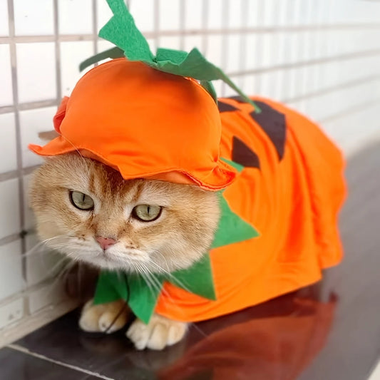 2Pcs Halloween Costume Witch Cloak and Hat Set for Small Medium Pets