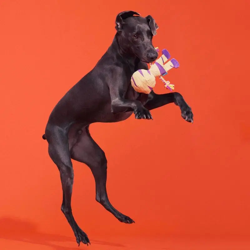 Halloween Dog Toy Mummy Plush with Squeaker Crinkle Sound Tug Rope Whip Flip Legs Interactive Play