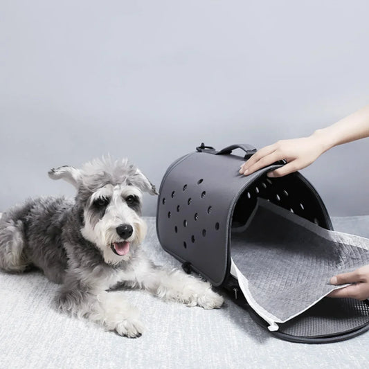 100/50/40/20PCS Absorbent, disposable Puppy Training Pee Pads Quick Dry Bamboo Charcoal Surface Mat Clean Cushion