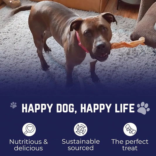 Jumbo Bully Sticks – 12 Inch, 6 Pack Dog Chews, 100% Natural, Single Ingredient, Free-Range Grass-Fed Beef – Long Lasting