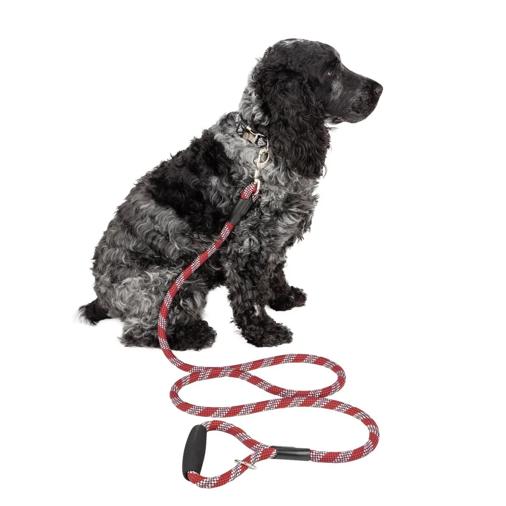 Heavy Duty Reflective Dog Leash. 6Ft Padded Handle Red Rope Medium Large Evening Walks Durable Clip