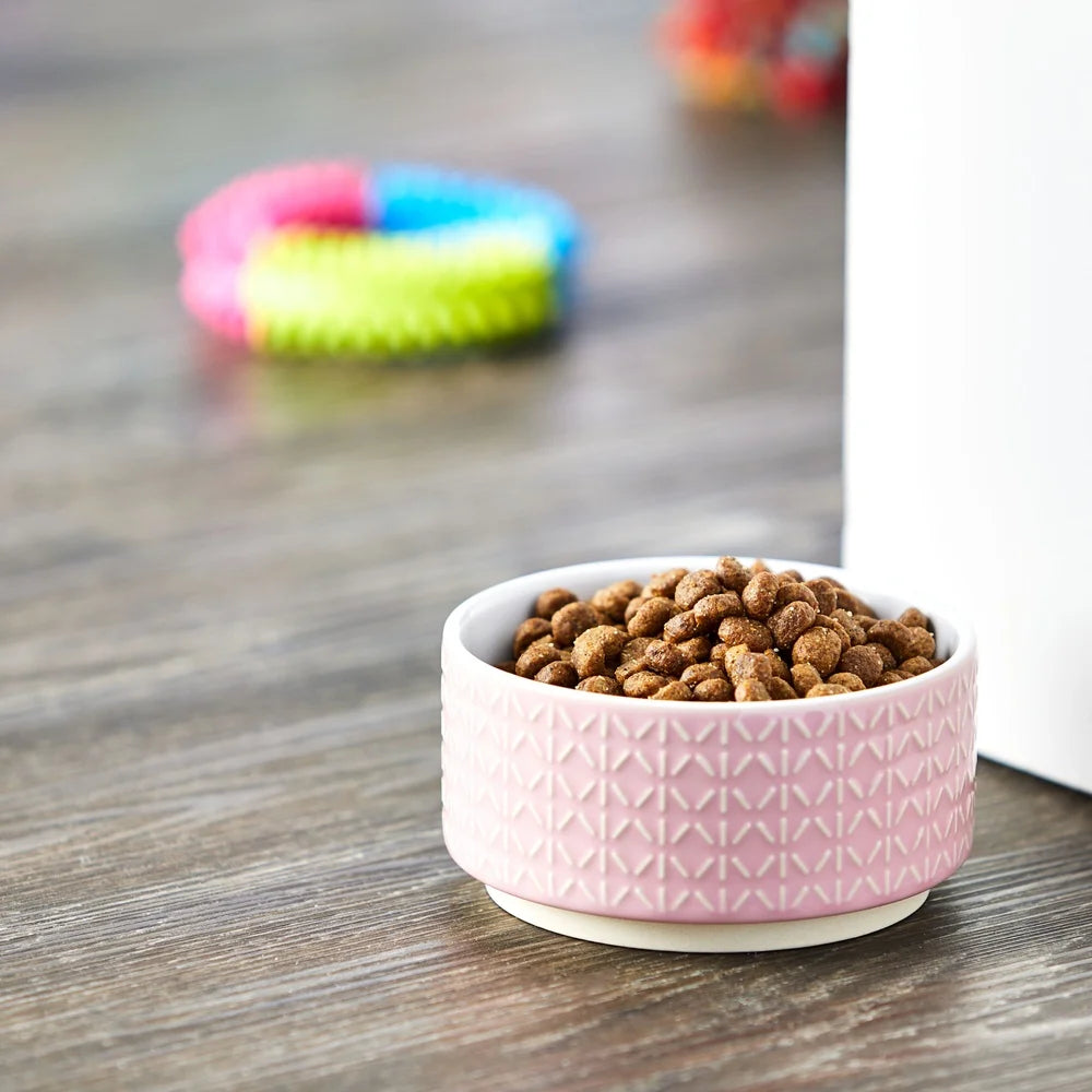 2 Pack Small Ceramic Pet Bowl Durable Dishwasher Safe Dog Feeding Bowl 12oz Pink Colorful Design Easy Clean