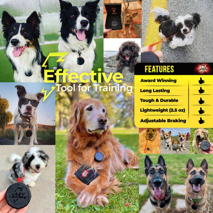 Safe & Easy Lightweight Heavy-Duty Wearable Mini Clip-On Adjustable Power Leash! Off-Leash Dog Walking Hiking Training & Travel