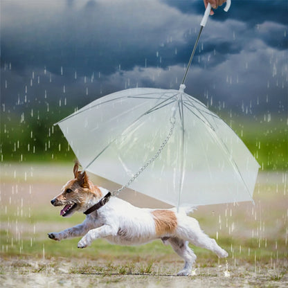 Dog Umbrella with Metal Chain,  Small Dogs Foldable Pet Dog Umbrella with Traction Rope Chain