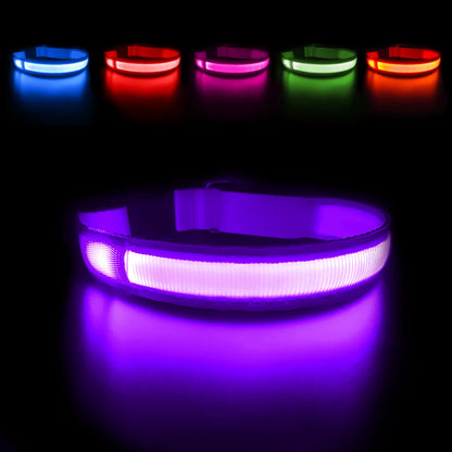 Dog Collar Luminous  Waterproof  Safety Collars dropship