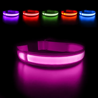 Dog Collar Luminous  Waterproof  Safety Collars dropship