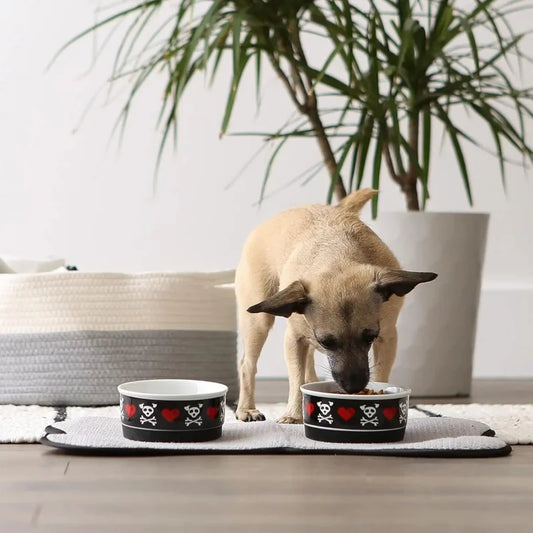 Ceramic Food & Water Bowls Non-Slip Secure, Less Feeding, Microwave & Dishwasher Safe, Small Set, 4.25x2,