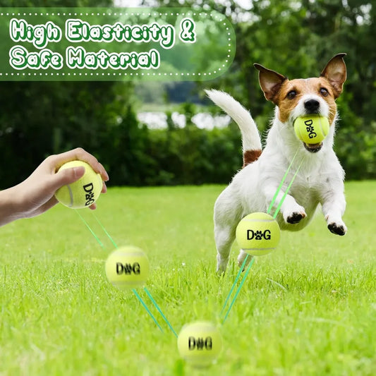 40 Pack Tennis Balls Dog Toys Bulk 2.5 Inch with Carry Bags, Easy Catching Interactive Fetch for Pet Puppy Small Medium Large Do