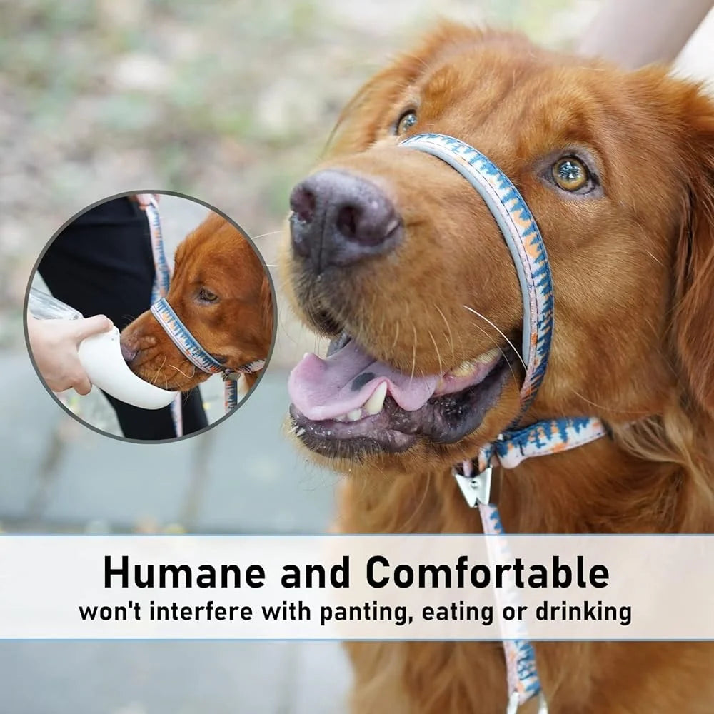 Dog Head Collar Anti-Pulling Halter with Leash Adjustable Snout Harness Training Tool