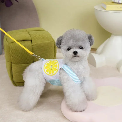 Dog Harness Vest Summer Breathable Puppy Accessories Blue Yellow Dog