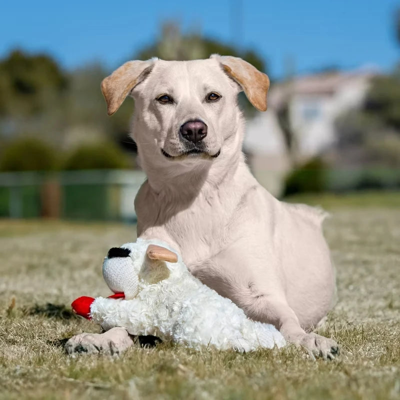 Lamb Chop Plush Dog Toy with Squeaker Interactive Puppy Toy for Small Medium Dogs
