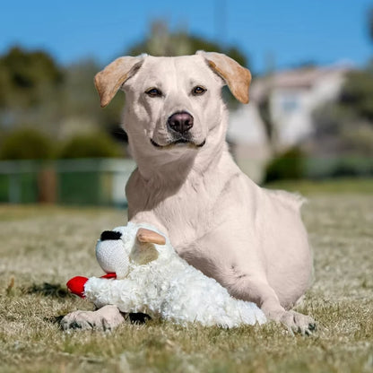 Lamb Chop Plush Dog Toy with Squeaker Interactive Puppy Toy for Small Medium Dogs