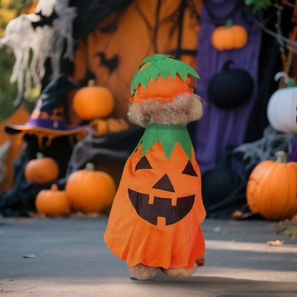 2Pcs Halloween Costume Witch Cloak and Hat Set for Small Medium Pets