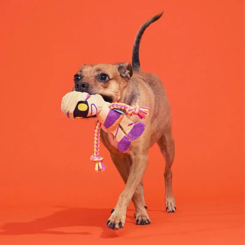 Halloween Dog Toy Mummy Plush with Squeaker Crinkle Sound Tug Rope Whip Flip Legs Interactive Play