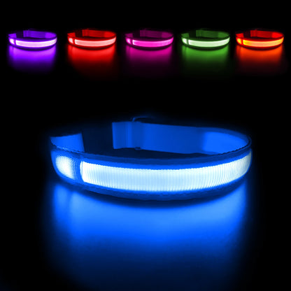 Dog Collar Luminous  Waterproof  Safety Collars dropship