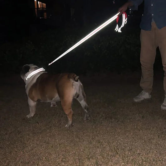 Lead Strap Lease. Night Reflection 1.2/1.5/1.8m Pet Walking Training Leash