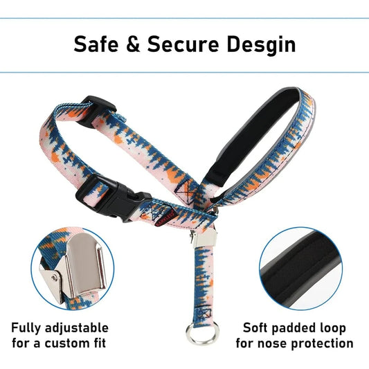 Dog Head Collar Anti-Pulling Halter with Leash Adjustable Snout Harness Training Tool