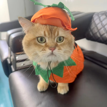 2Pcs Halloween Costume Witch Cloak and Hat Set for Small Medium Pets