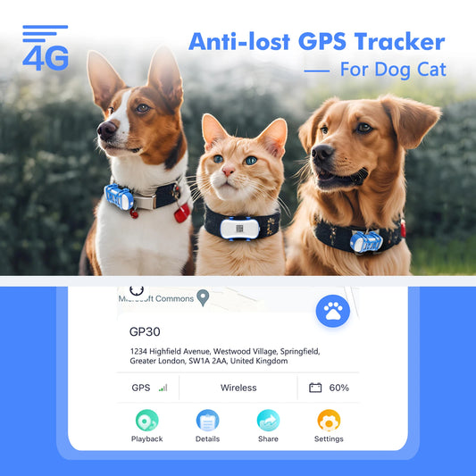 4G Mini GPS Tracker for Dot Cat – Waterproof Live Locator with Android & iOS App, Light & Sound Search, Subscription Needed
