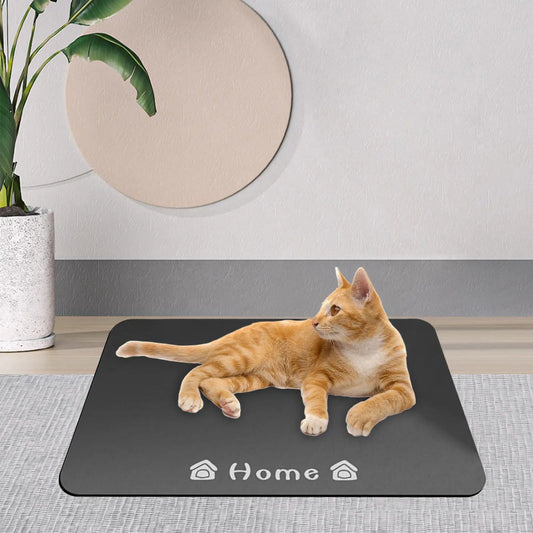 Pet Feeding Mat. Food Spill Prevention.