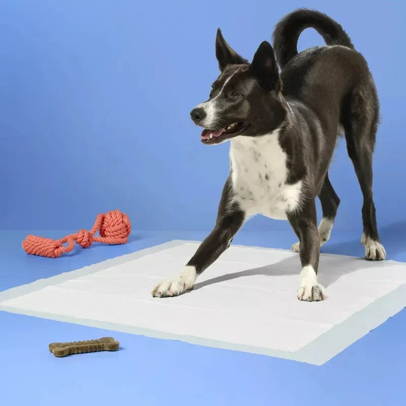 Extra Large Dog Training Pads 28x30" Super Absorbent Leak Proof Potty Pads with Odor Control Built In Attractant