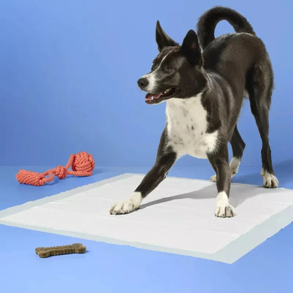Extra Large Dog Training Pads 28x30" Super Absorbent Leak Proof Potty Pads with Odor Control Built In Attractant