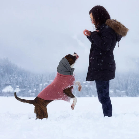 Dog Snood Ear Muffs Noise-Proof Washable Elastic