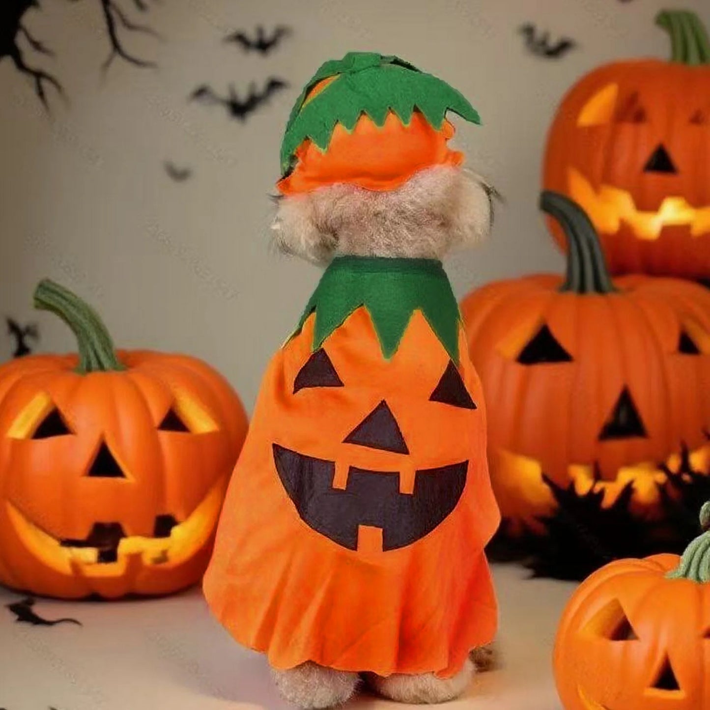 2Pcs Halloween Costume Witch Cloak and Hat Set for Small Medium Pets