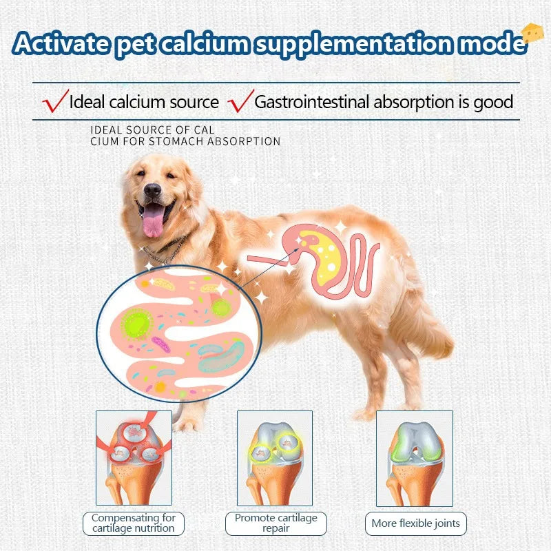 Freeze-dried Food High Calcium Cheese Rich in Nutrients Cat Dog Snacks