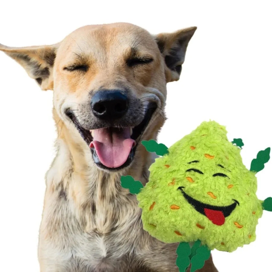 My Name is Bud Funny Squeaky Weed Dog Toy Cute Stuffed Parody