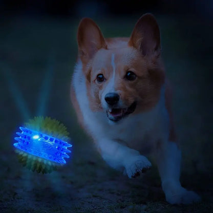 LED Light Up Squeaky Ball Dog Toy with Dental Spikes Soft  Interactive Night Play Fetch Game