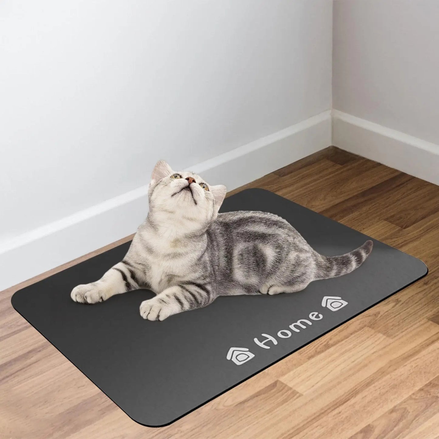 Pet Feeding Mat. Food Spill Prevention.