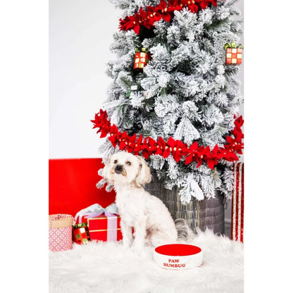 Paw Humbug Pet Bowl, Speckled Food Dish, Holiday , Holds 3 Cups