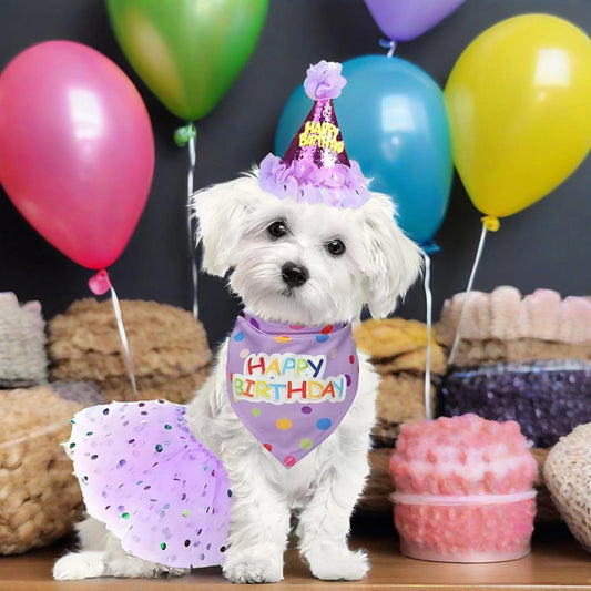 Cute Dog Birthday Costume Set. Adorable Party Hat with Matching Skirt and Scarf for Indoor and Outdoor Celebrations