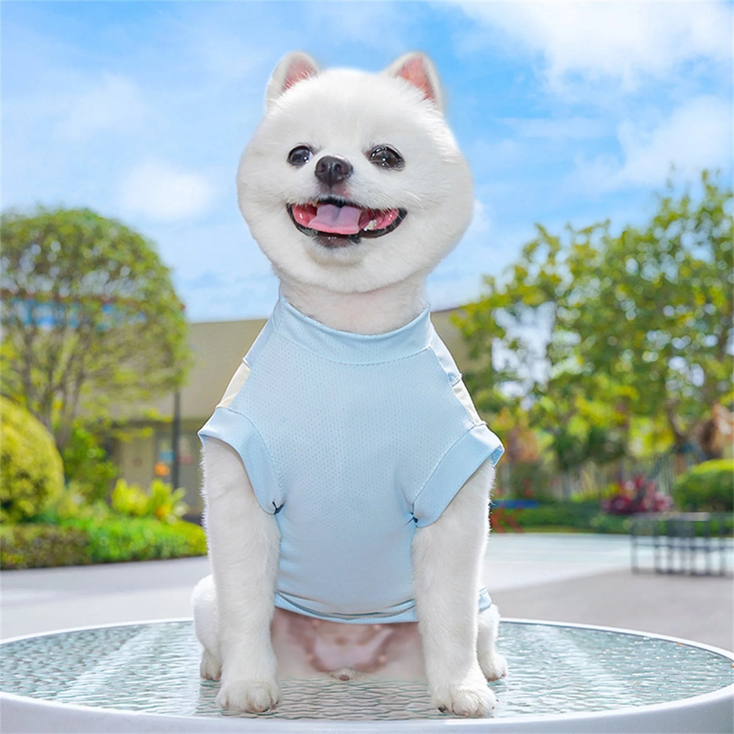 Breathable Cooling Dog T-Shirt with Ice Silk Material for Cats and Puppies - Lightweight and Soft Pet Tank Tops in Contrast