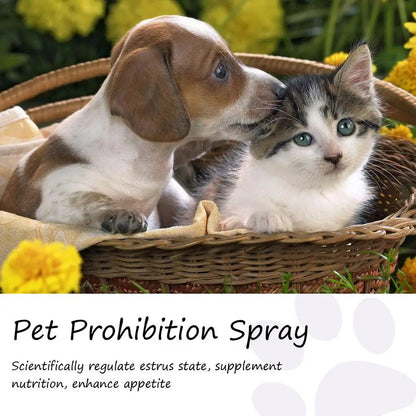 Calming Spray For Dogs Safe Healthy Anti-anxiety