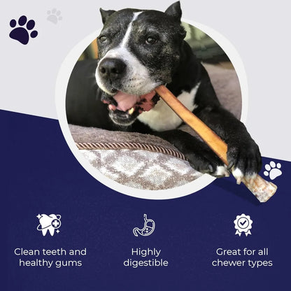 Jumbo Bully Sticks – 12 Inch, 6 Pack Dog Chews, 100% Natural, Single Ingredient, Free-Range Grass-Fed Beef – Long Lasting