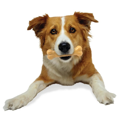 Durable Nylon Dog Chew Toy Chew Bone Peanut Butter Flavor Dental Toy Aggressive Chewers Up to 35lbs