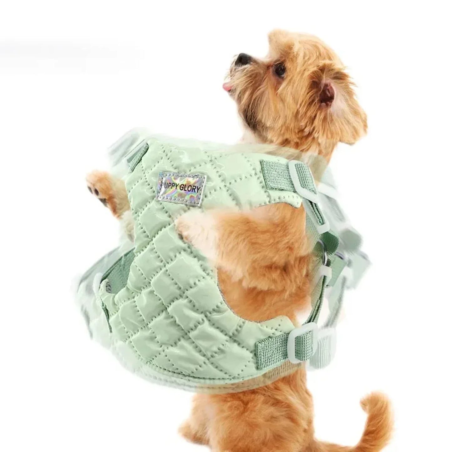 Waterproof Dog Harness Adjustable Chest Strap