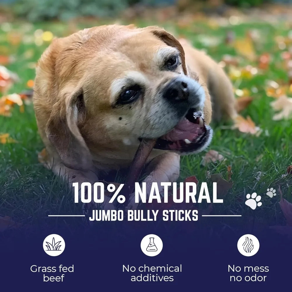 Jumbo Bully Sticks – 12 Inch, 6 Pack Dog Chews, 100% Natural, Single Ingredient, Free-Range Grass-Fed Beef – Long Lasting
