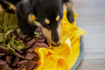 Interactive Puzzle Feeding Mat, Snuffle Mat for Dogs, Foraging Skills