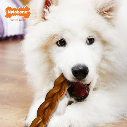 Power Chew Braided Toy Large Durable Nylon Dog Alternative Safe Odor Free Healthy Chewing Teeth Cleaning Fresh Breath