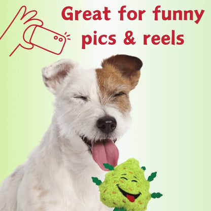 My Name is Bud Funny Squeaky Weed Dog Toy Cute Stuffed Parody