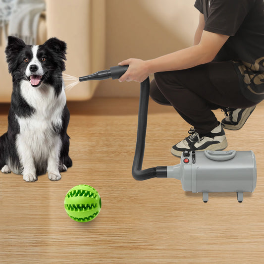 2200W Electric Pets Hair Dryer. Adjustable Wind, Two Temperature Levels, 4 Nozzles Dogs Cats