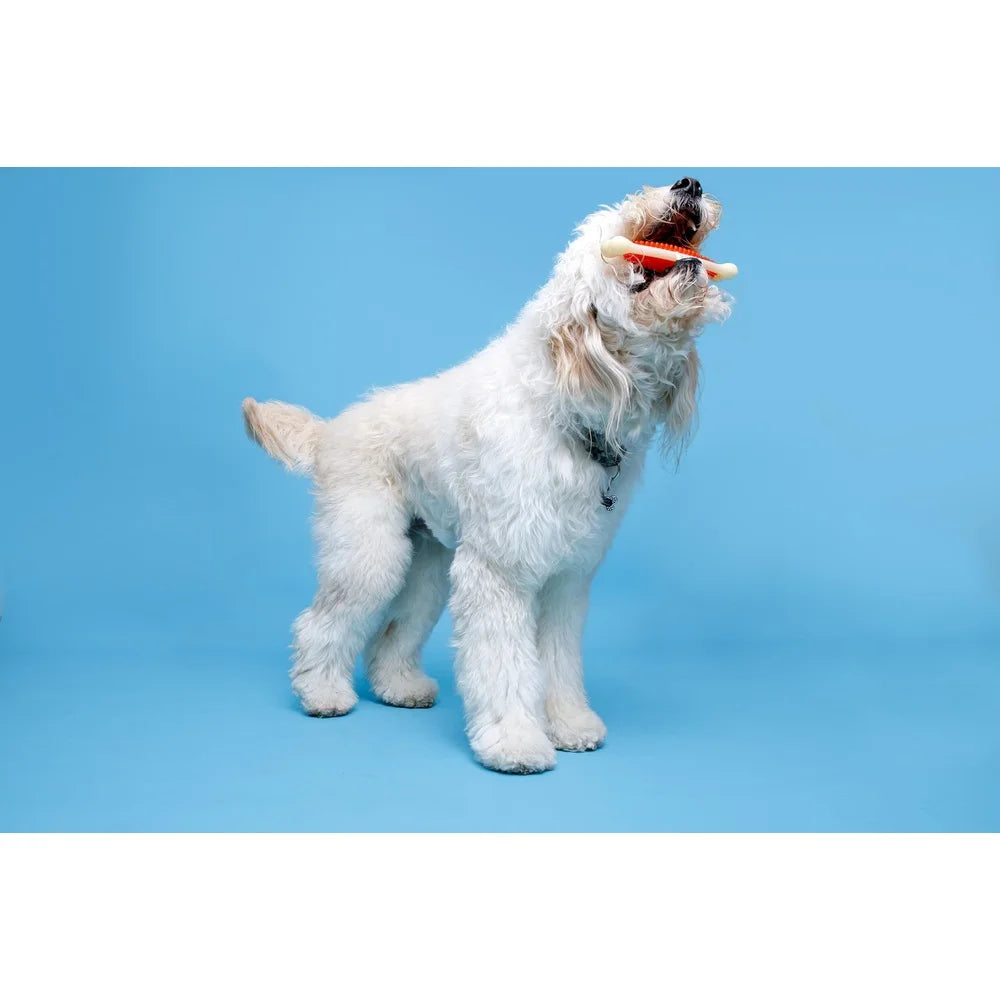 Durable Chew Toy Dogs Bacon Scented Dental Hygiene Extra Large Nylon Tuff Bone Textured Nubs Active Chewers