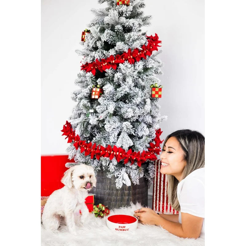 Paw Humbug Pet Bowl, Speckled Food Dish, Holiday , Holds 3 Cups